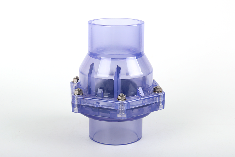 调楼镇透明翻板式止回阀